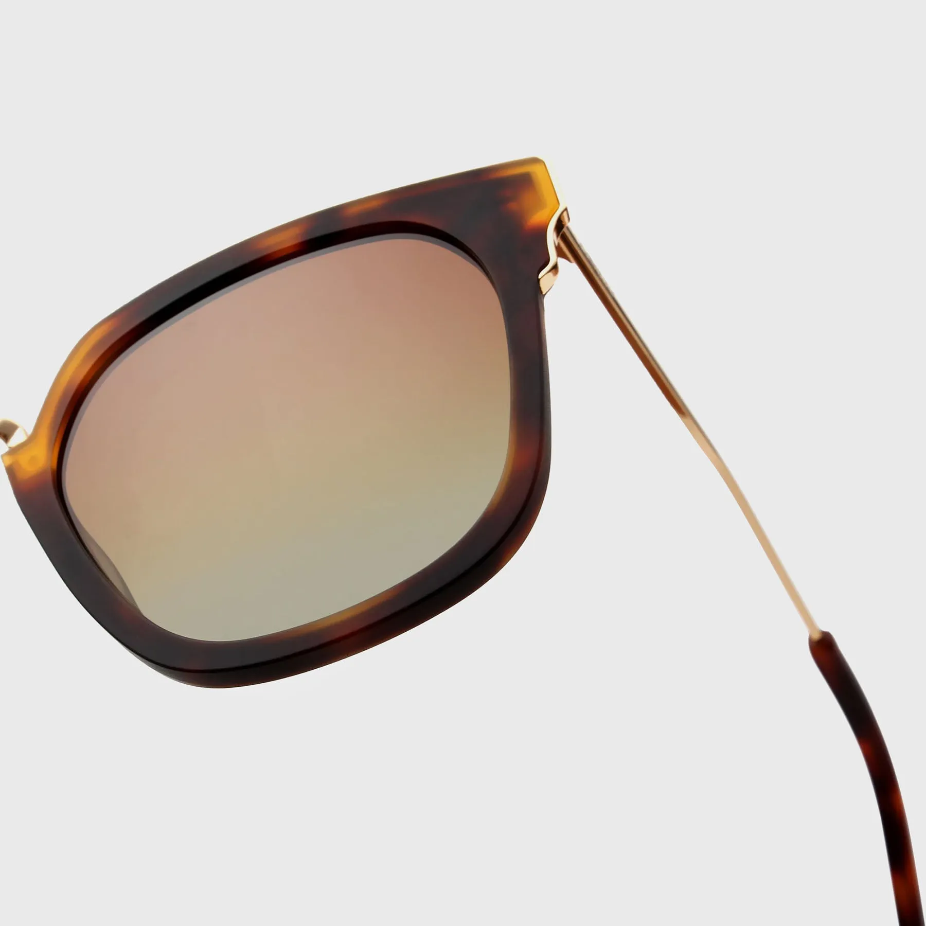 ACTIV - SDL Matte Tortoise & Gold