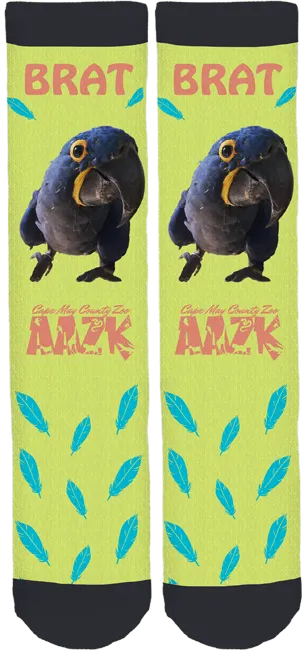 Cape May Zoo AAZK Brat Socks