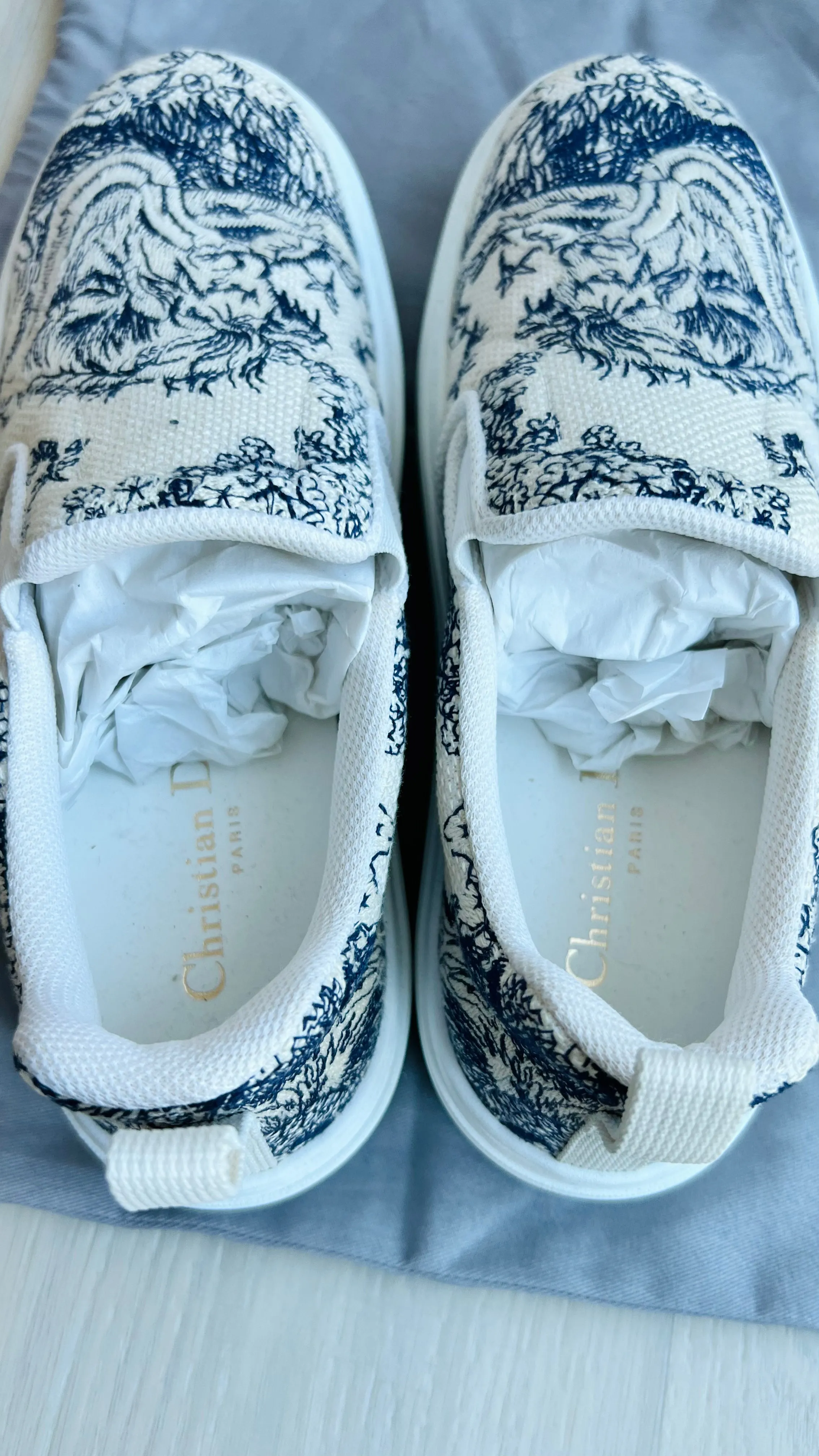 Christian Dior Walk N Dior Toile Sneakers