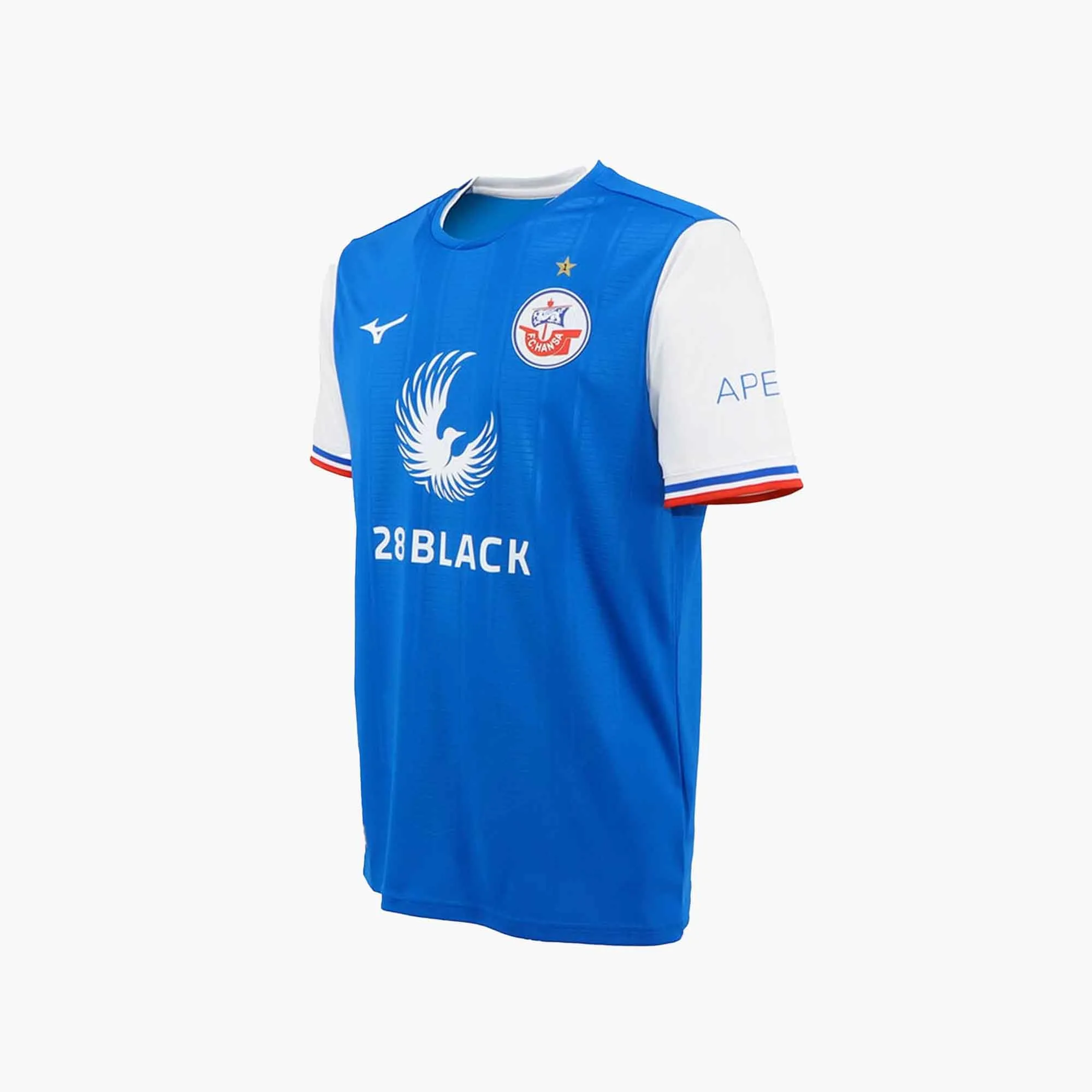 FC HANSA ROSTOCK 2023/24 HOME JERSEY