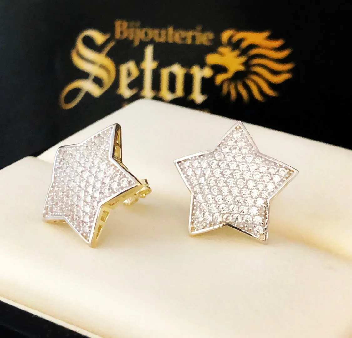 Star earrings E178