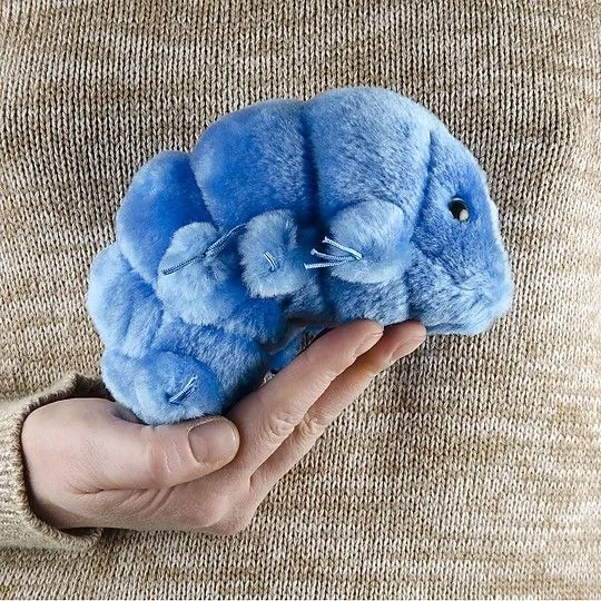 Waterbear (Tardigrade) Plush